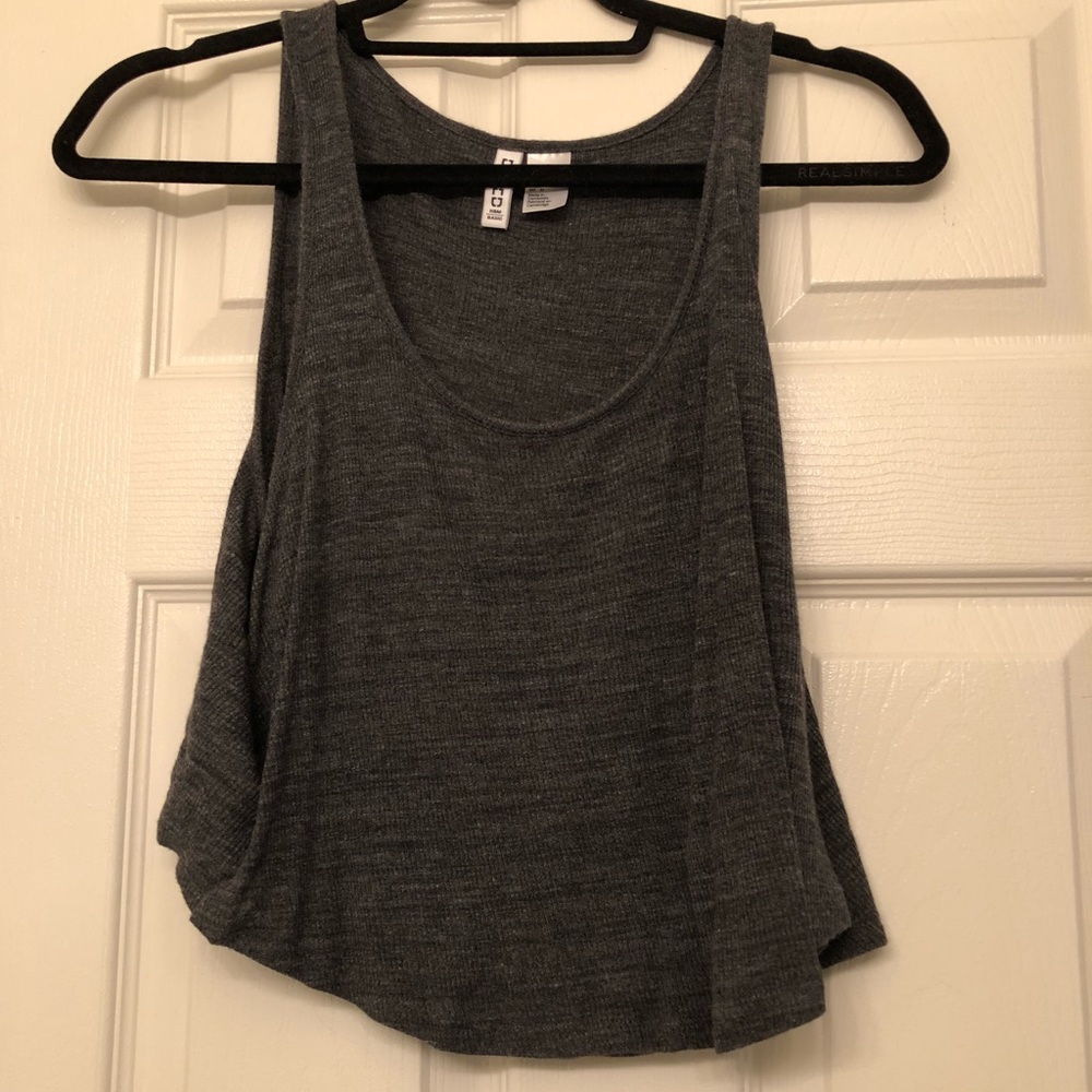 Plain Gray Crop